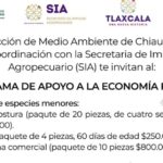 Invita Ayuntamiento de Chiautempan a participar en el “Programa de Apoyo a la Economía Familiar”