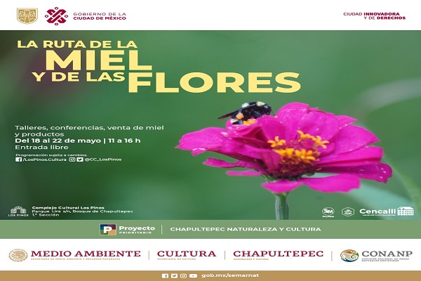 Semarnat y Cultura presentan: “La Feria de la ruta de la miel y de las flores”